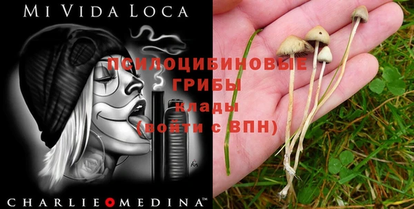 эйфоретик Михайловка