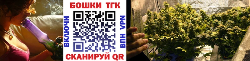 Конопля планчик  Купить закладки  Кингисепп 